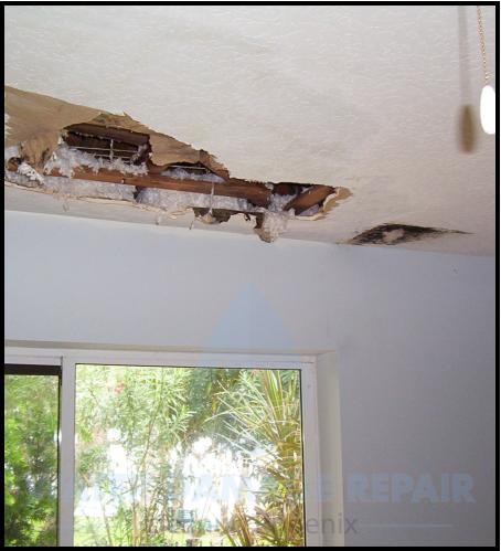 58 water damage repair cleanup phoenix restoration company 3