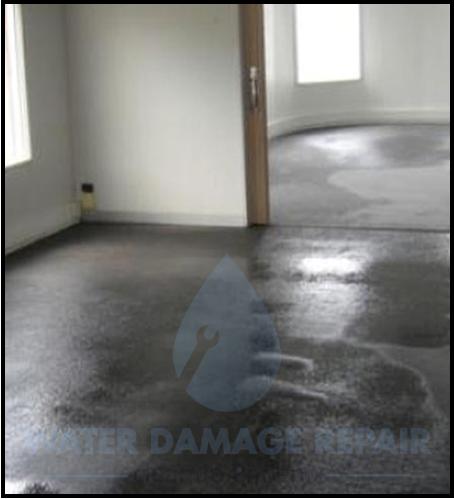 62 water damage repair cleanup phoenix restoration company 8