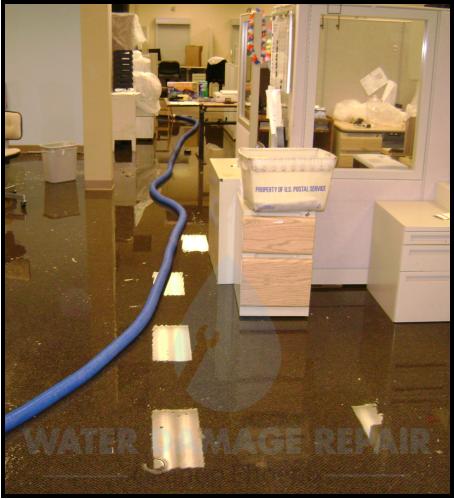 64 water damage repair cleanup phoenix restoration company 1