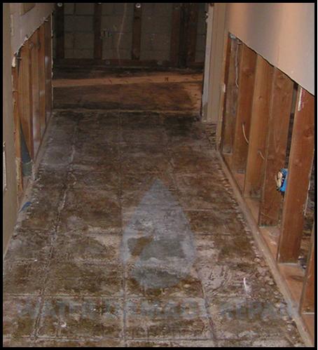 66 water damage repair cleanup phoenix restoration company 5