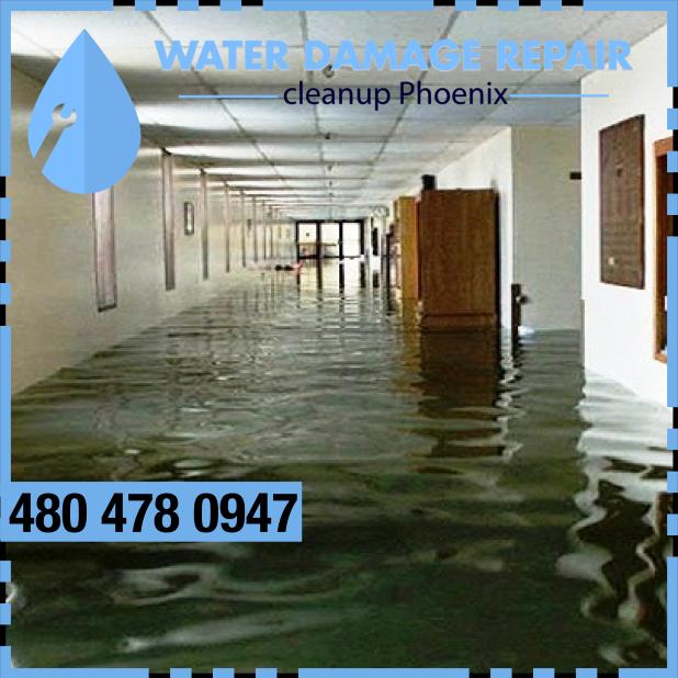 water damage phoenix