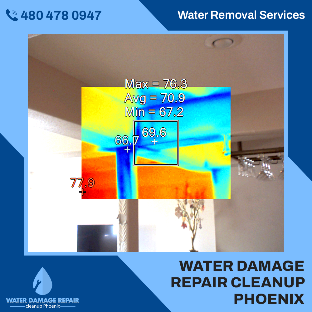 water damage phoenix