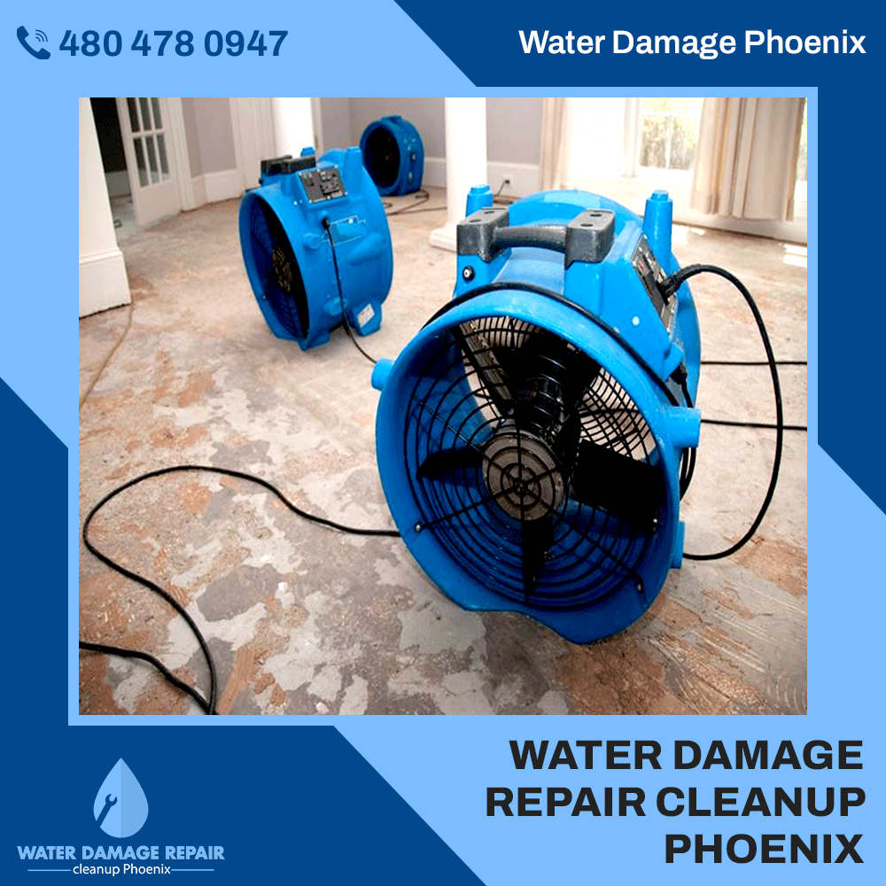 water damage phoenix