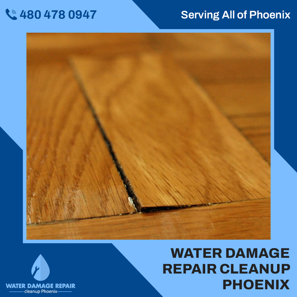 water damage phoenix