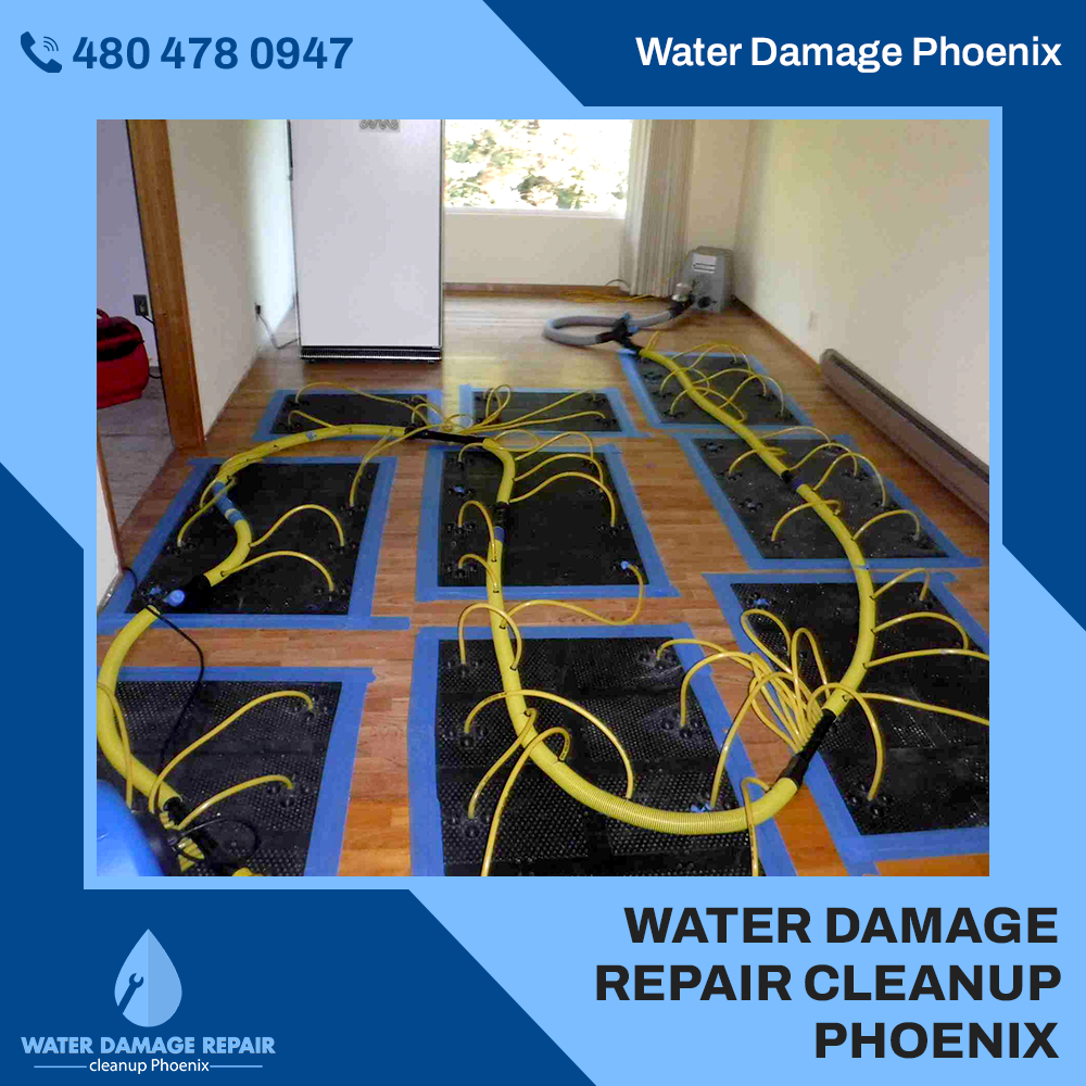 water damage phoenix