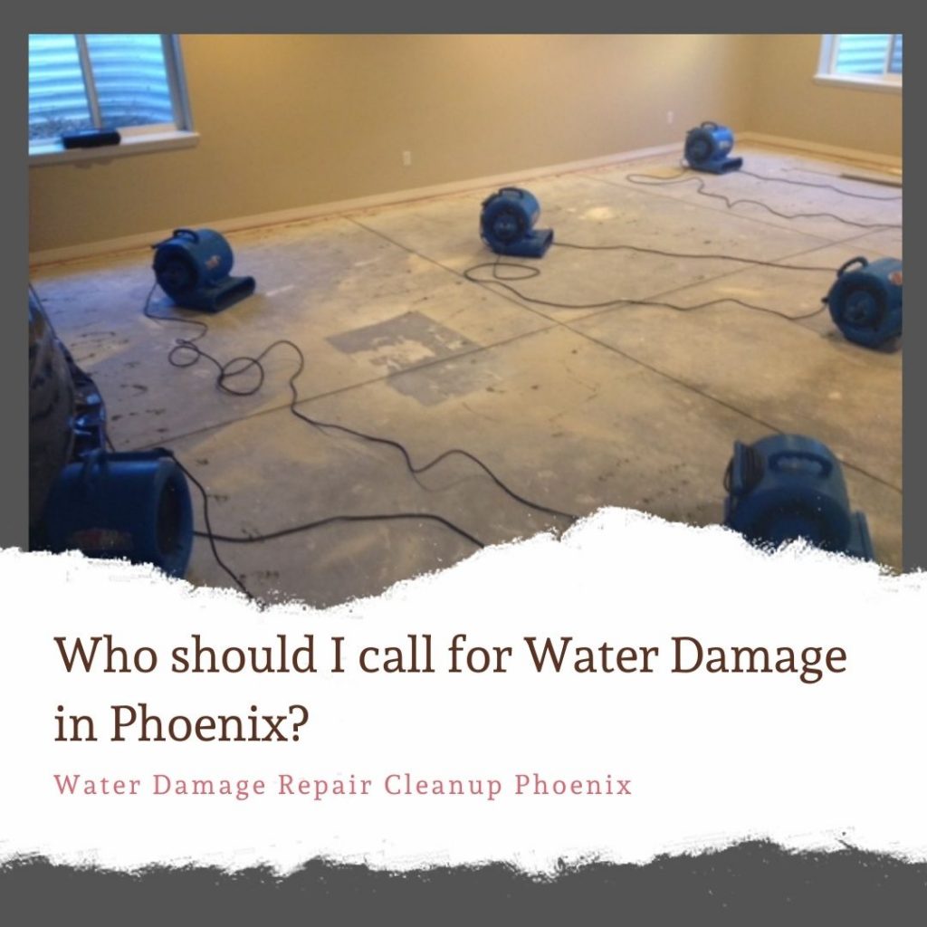 Who should I call for water damage in Phoenix